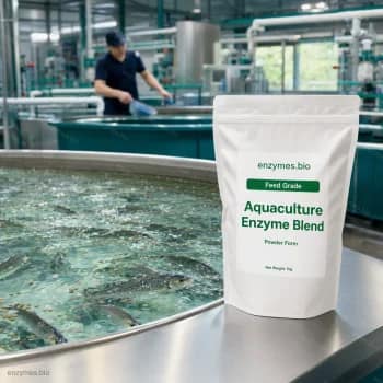 Bột enzyme hỗn hợp dùng trong nuôi trồng thủy sản - enzyme công nghiệp của enzymes.bio