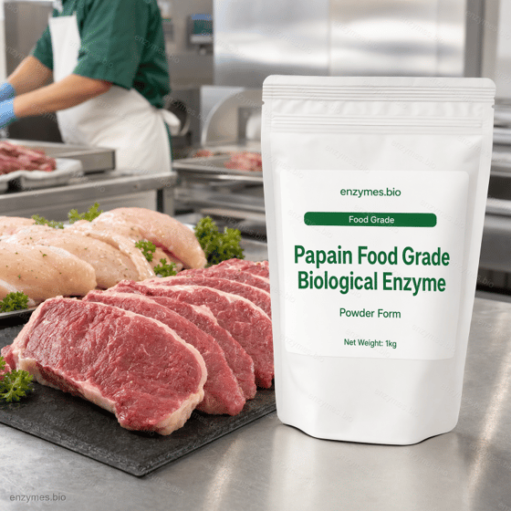 Papain 200,000 U/g Food Grade Biological Enzyme