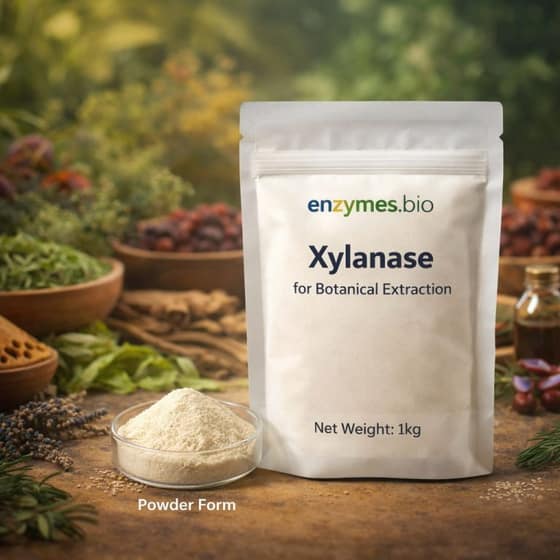 Xylanase for Botanical Extraction