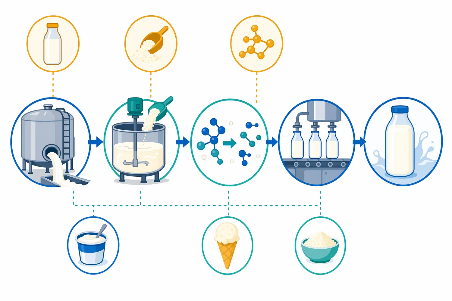 A typical soluble-lactase dairy process adds the enzyme to a lactose-containing liquid, allows contact time for hydrolysis, and then finishes the product according to the target application.