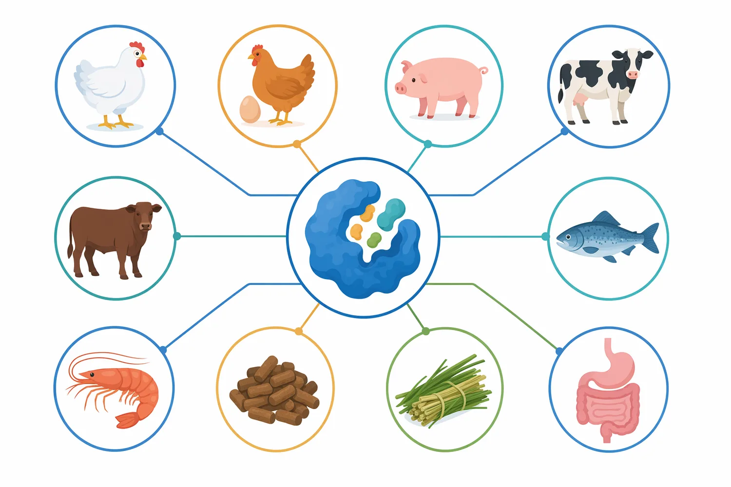 Cellulase is most relevant for fibrous substrates such as straw, stover, forage, brans, hulls, cereal co-products, and fermented plant residues.