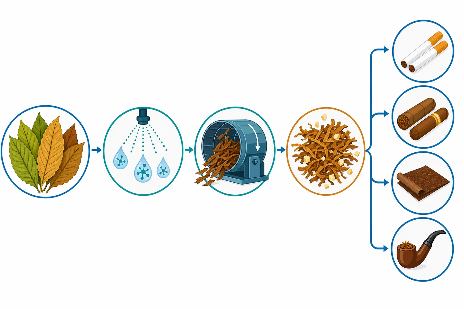 Partial cellulose hydrolysis can translate into softer hydrated fiber, greater liquid penetration, and improved access for extraction or fermentation.