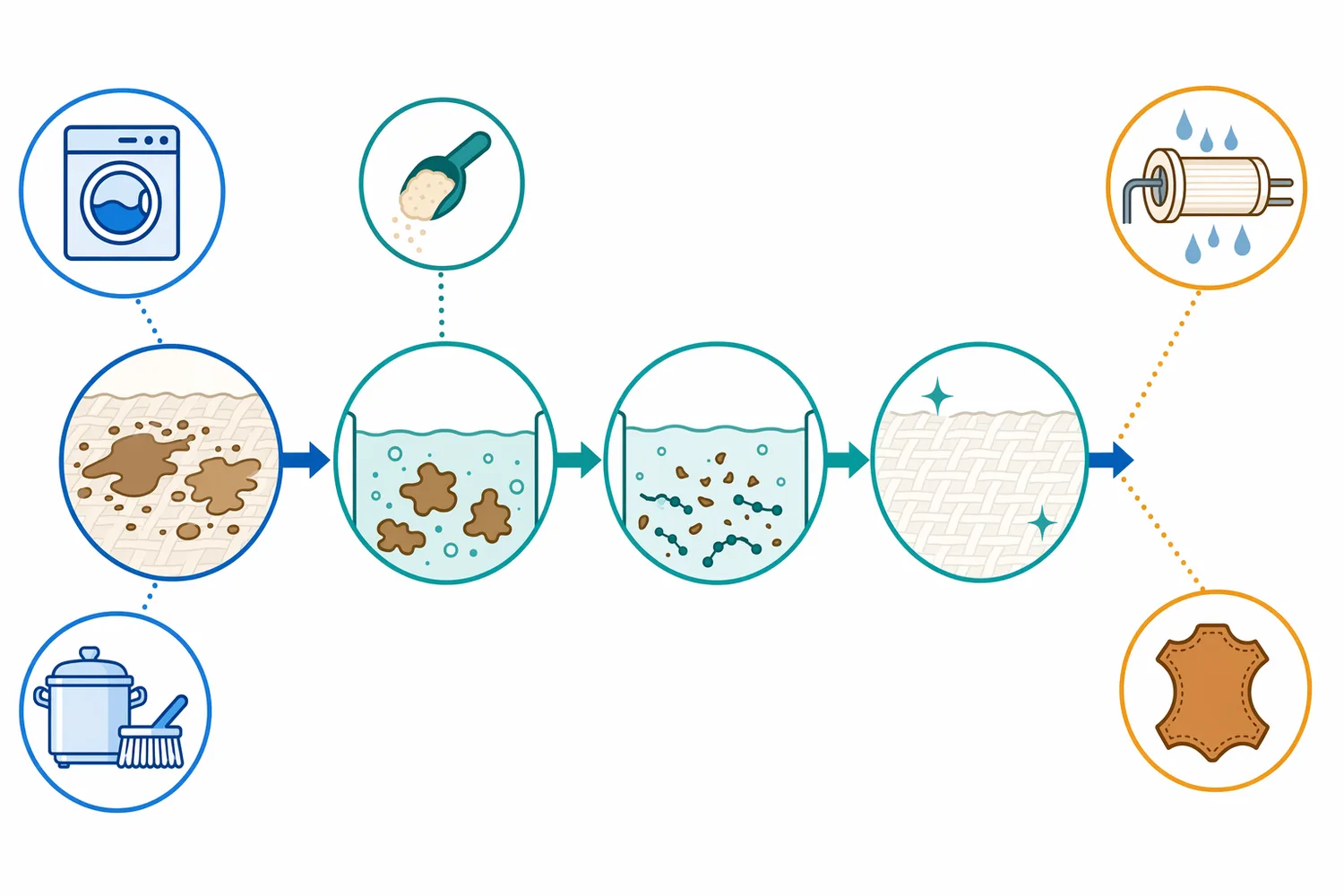 Protein-film removal progresses from enzyme contact and peptide-bond cleavage to weakened film structure, dispersed fragments, and rinse removal.