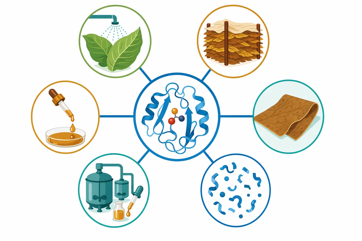The main tobacco-processing uses discussed are conditioning, fermentation support, and controlled aging or quality-adjustment workflows.