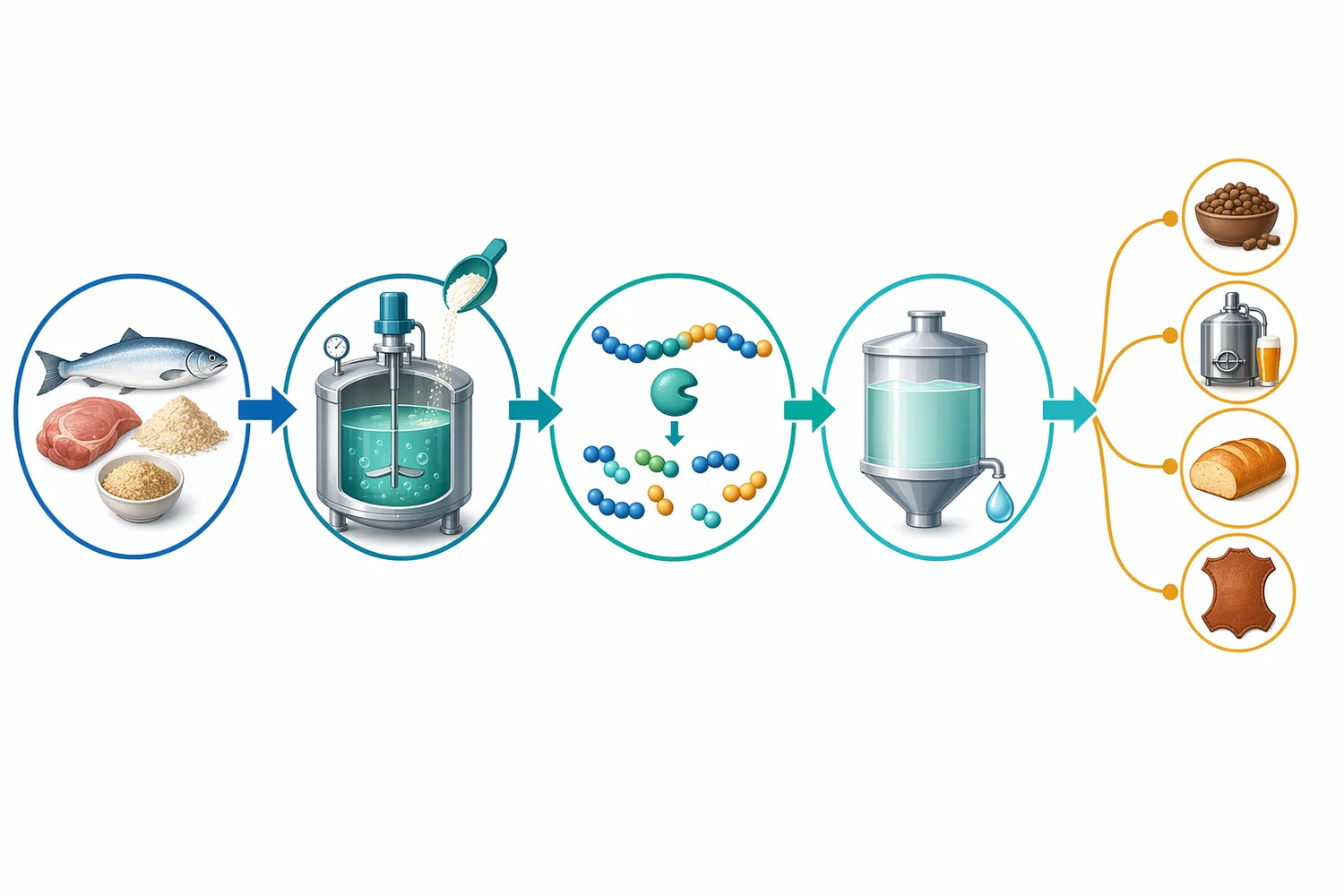 The Enzymes.bio purchase route is online ordering by 1 kg unit followed by payment, order processing, shipment, and supply of COA and SDS documentation.