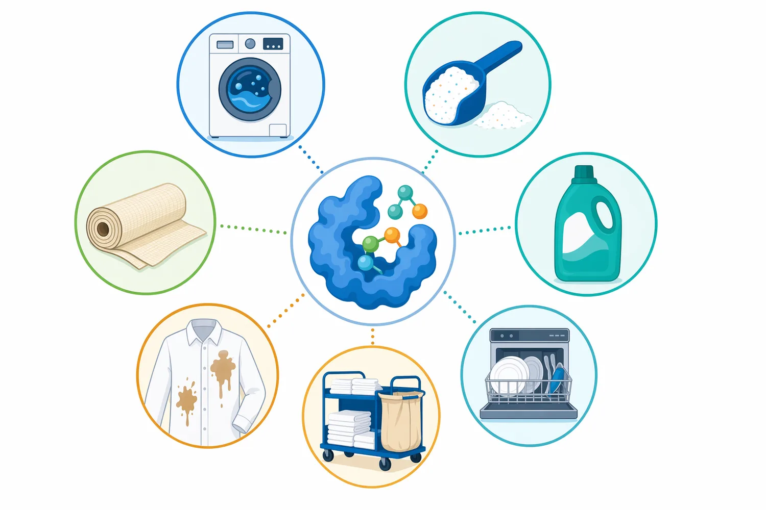 The main alkaline amylase use cases are laundry starch stains, automatic dishwashing residues, textile desizing and starch-rich institutional cleaning soils.