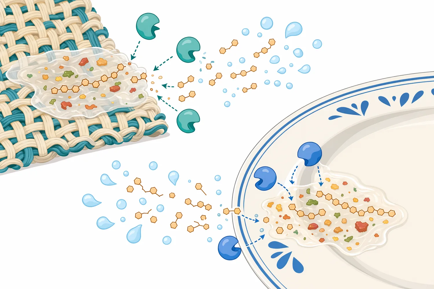 Alkaline amylase targets starch-based binders in laundry, dishwashing and textile cleaning systems.