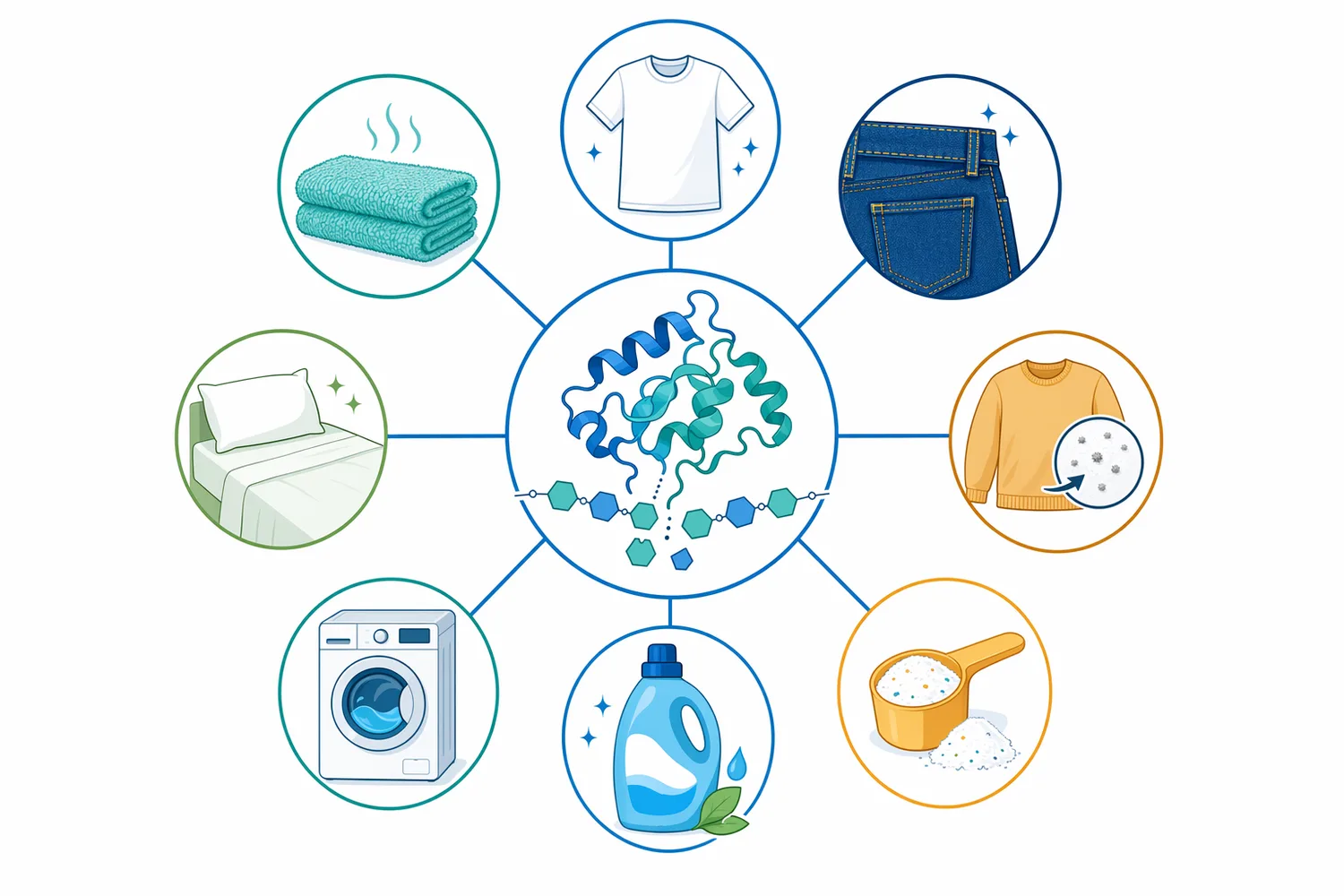 The main laundry benefits of alkaline cellulase are brighter-looking cotton, improved particulate soil release, reduced fuzzing, smoother hand feel, and support for cotton-rich fabric-care claims.