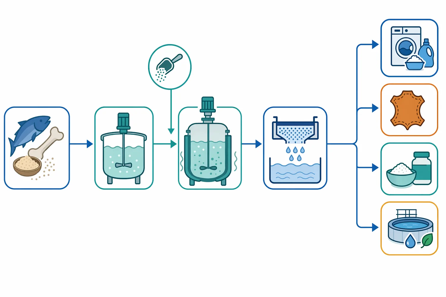 In detergent cleaning, alkaline swelling, protease cleavage, surfactant action, agitation, and rinsing work together to remove proteinaceous stains and films.