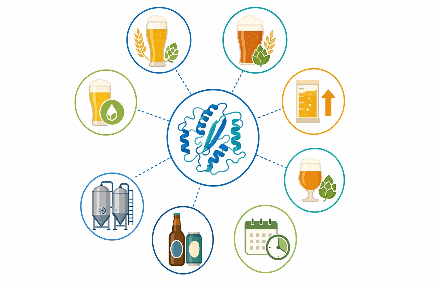 ALDC is commonly valuable in clean lagers, rapid schedules, high-gravity fermentations, reused yeast programs, dry-hopped beers, and delicate neutral styles.