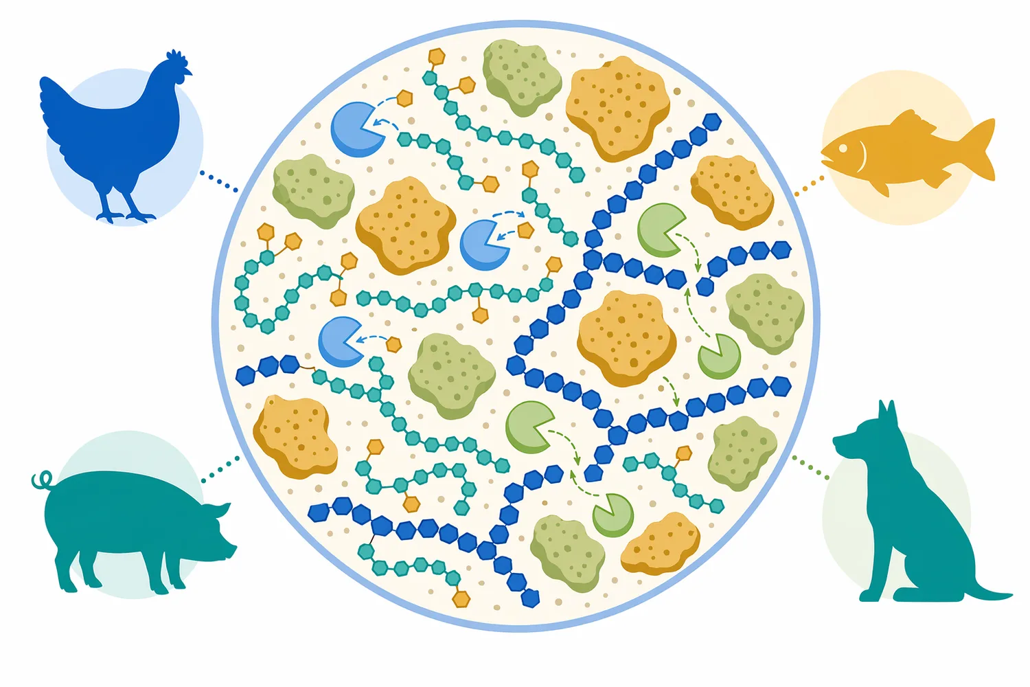 In feed and pet food, alpha-galactosidase is most relevant when plant meals contain meaningful alpha-galactosidic substrates.