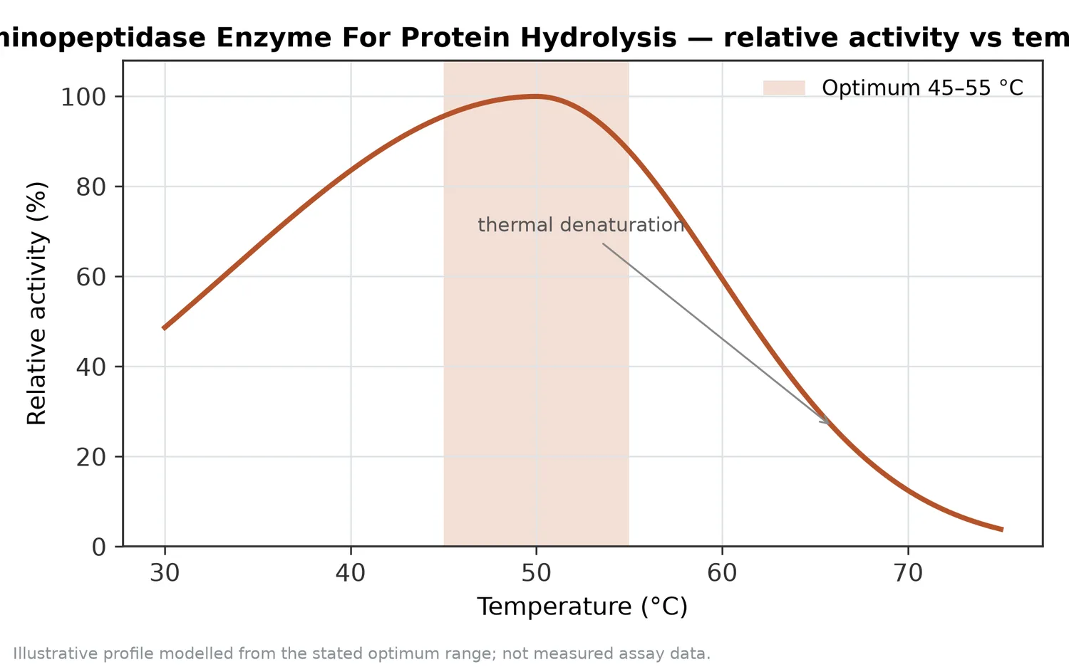 Relative activity of Aminopeptidase Enzyme For Protein Hydrolysis as a function of temperature, with the optimum at 45–55 °C and a characteristic thermal-denaturation fall-off above the optimum.