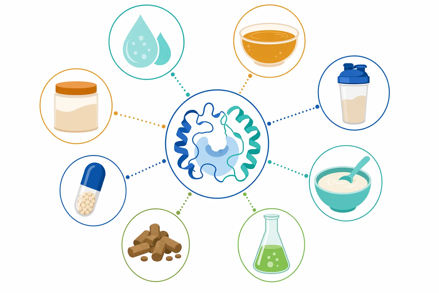 Aminopeptidases are used to tailor taste, digestibility, and free amino acid content in protein-derived ingredients.