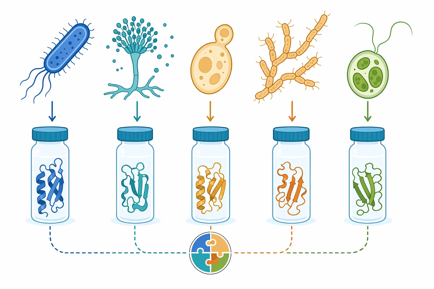 Microbial asparaginases can come from many source organisms, and source-dependent properties mean products are not automatically interchangeable.