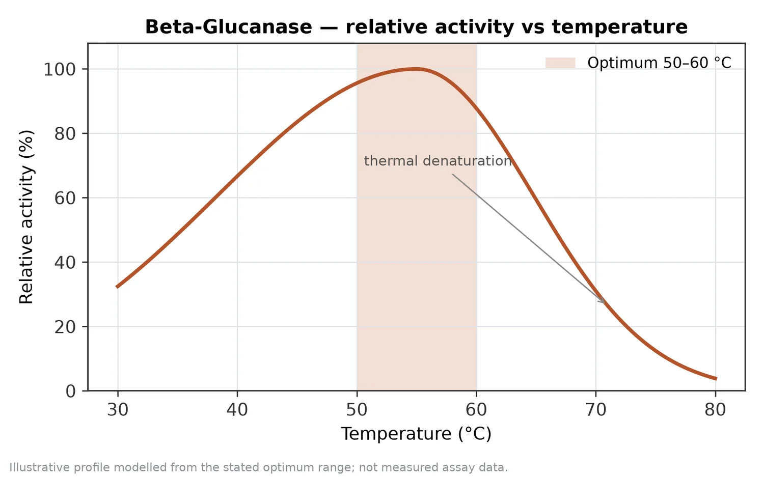 Relative activity of Beta-Glucanase as a function of temperature, with the optimum at 50–60 °C and a characteristic thermal-denaturation fall-off above the optimum.