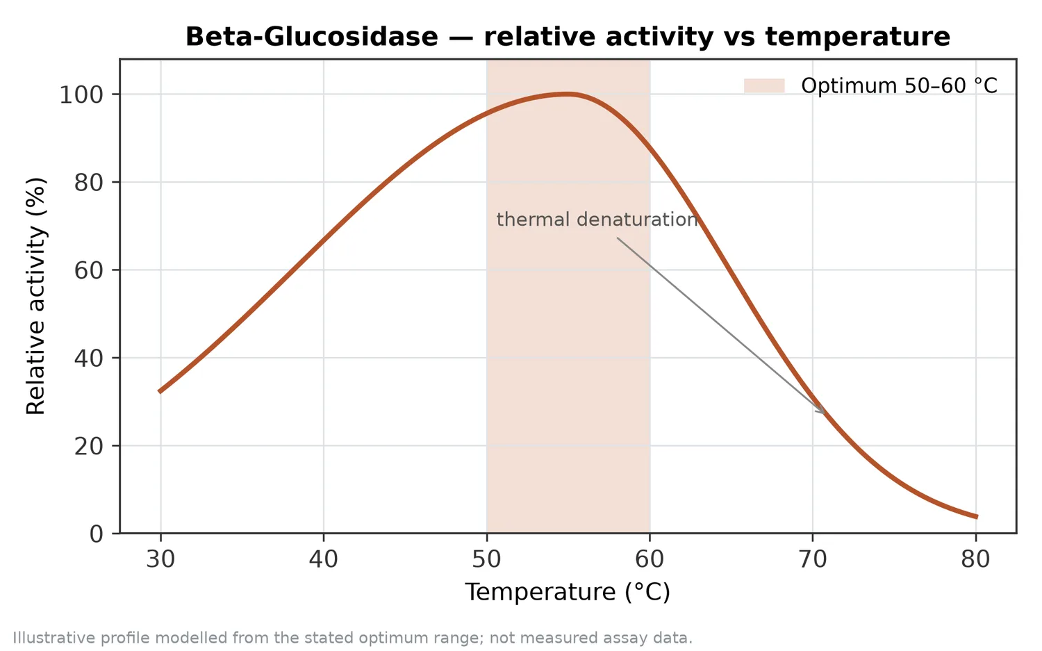 Relative activity of Beta-Glucosidase as a function of temperature, with the optimum at 50–60 °C and a characteristic thermal-denaturation fall-off above the optimum.