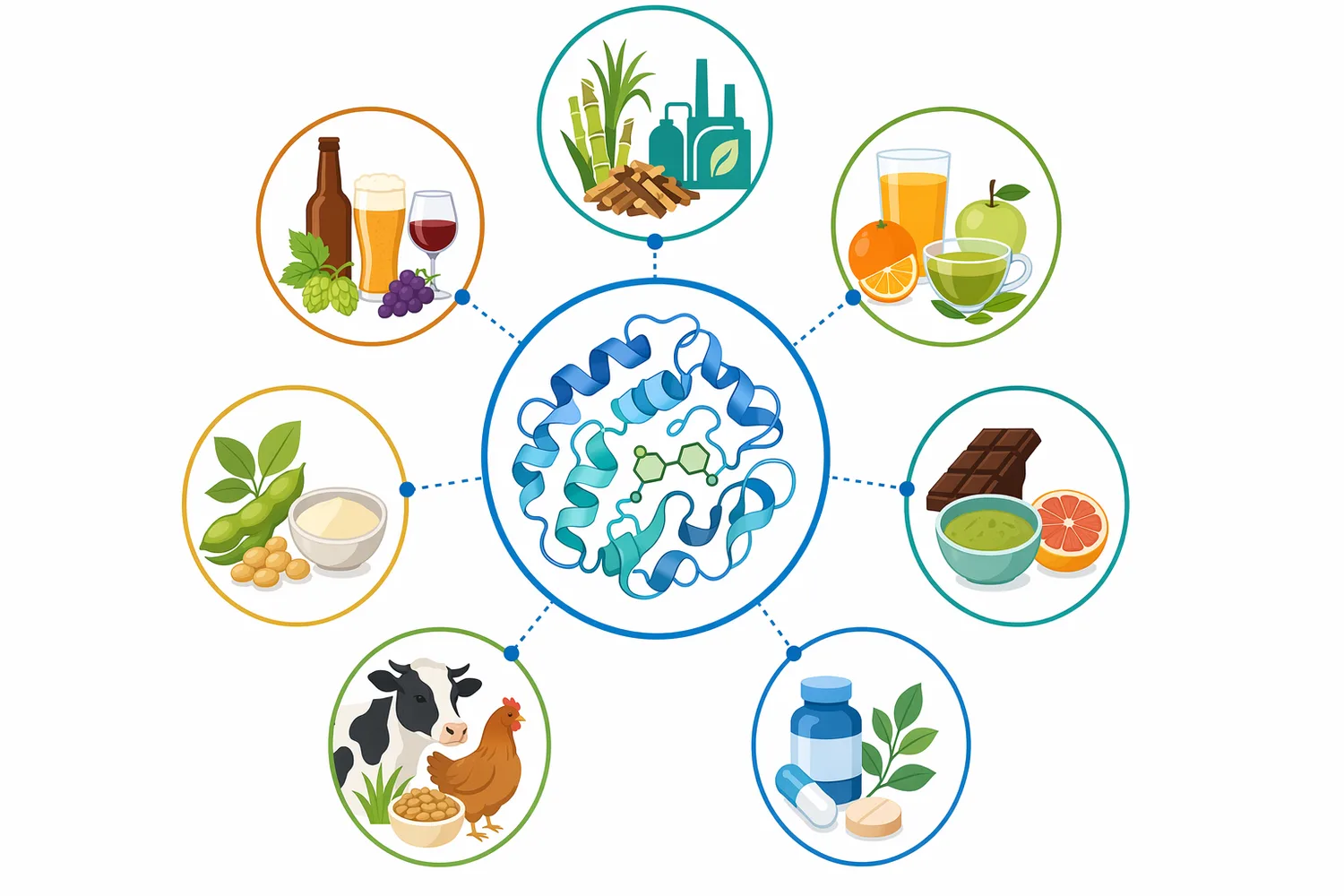 Beta-glucosidase is used in biomass conversion, food and beverage flavor release, debittering, feed processing, and nutraceutical glycoside transformation.