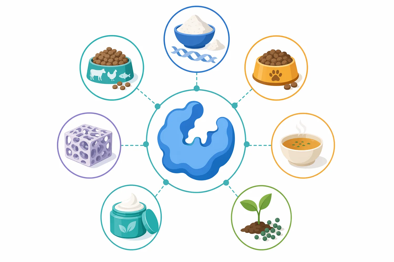 Bone protein hydrolysates can be directed into savory foods, pet and feed systems, collagen-derived blends, and peptide ingredient development.