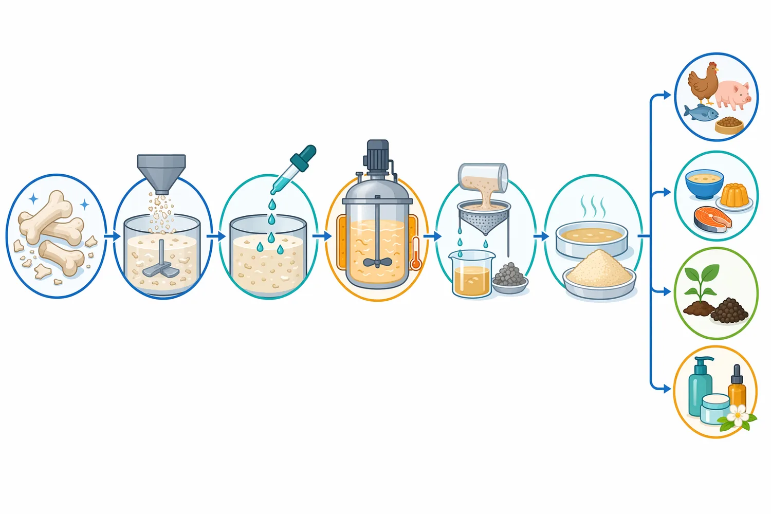 Substrate preparation steps such as size reduction, heating control, degreasing, and optional demineralization improve the accessibility of bone protein to protease action.
