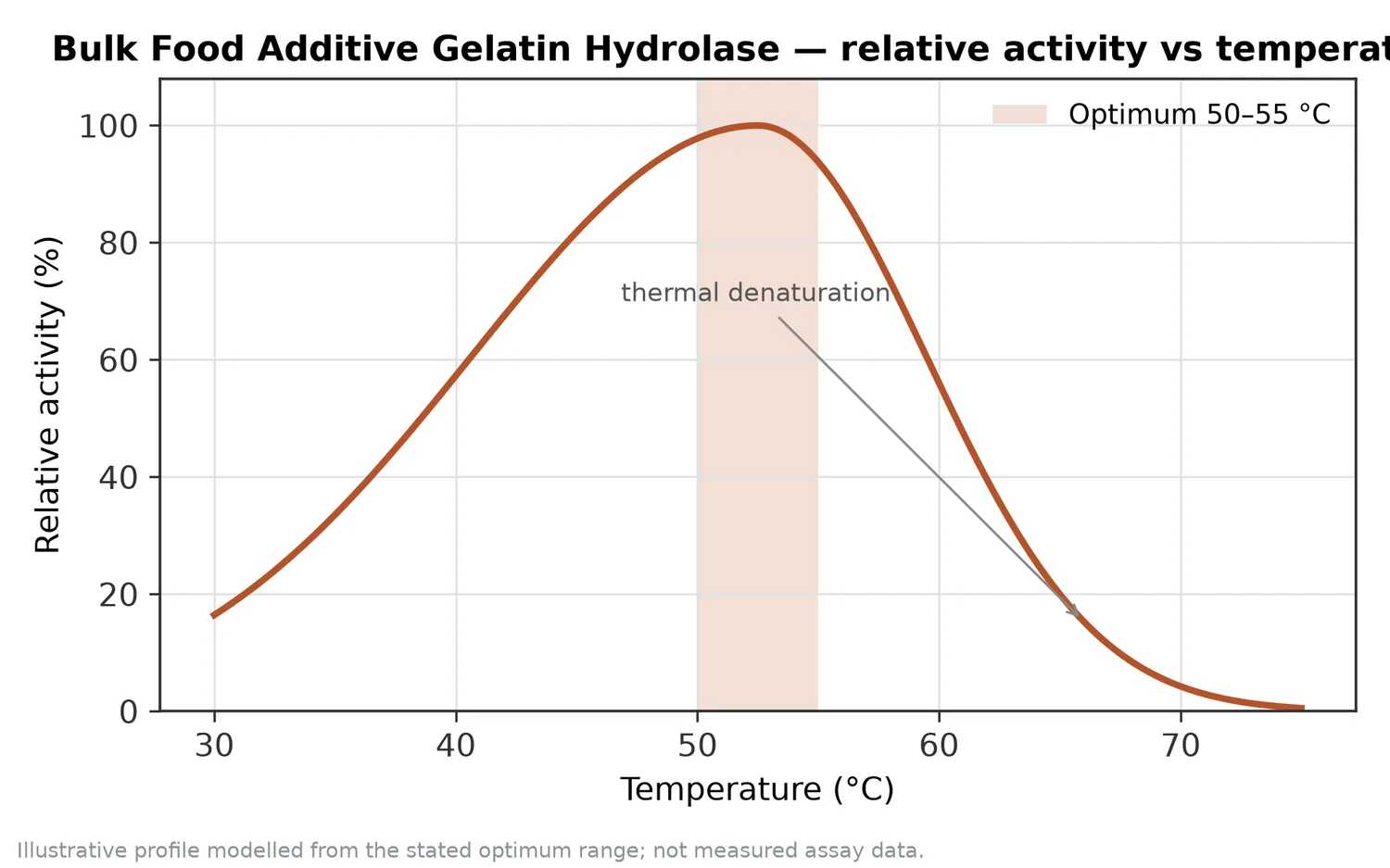 Relative activity of Bulk Food Additive Gelatin Hydrolase as a function of temperature, with the optimum at 50–55 °C and a characteristic thermal-denaturation fall-off above the optimum.