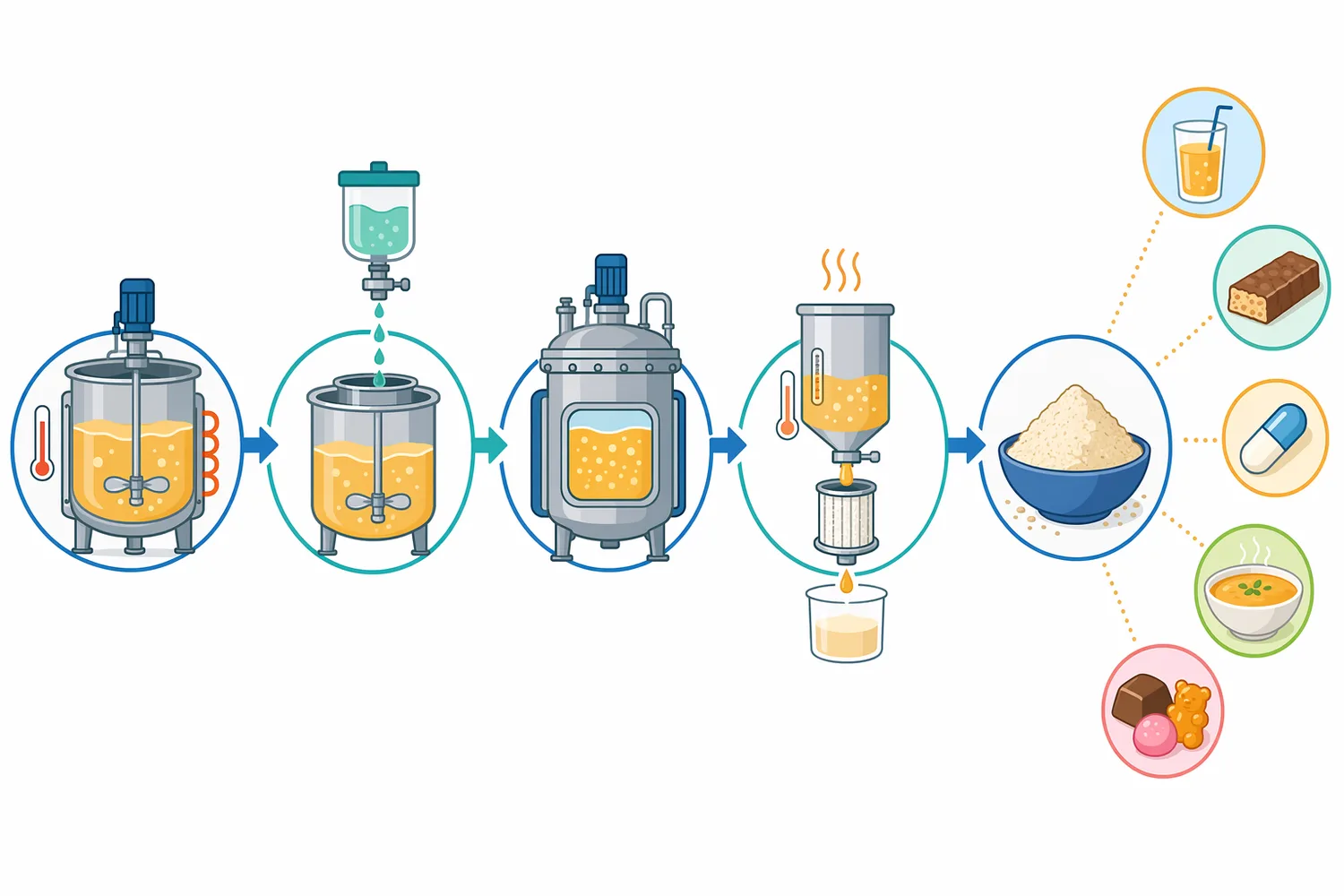 Industrial gelatin hydrolysis converts dissolved gelatin into filtered and dried peptide ingredients for food and nutrition products.