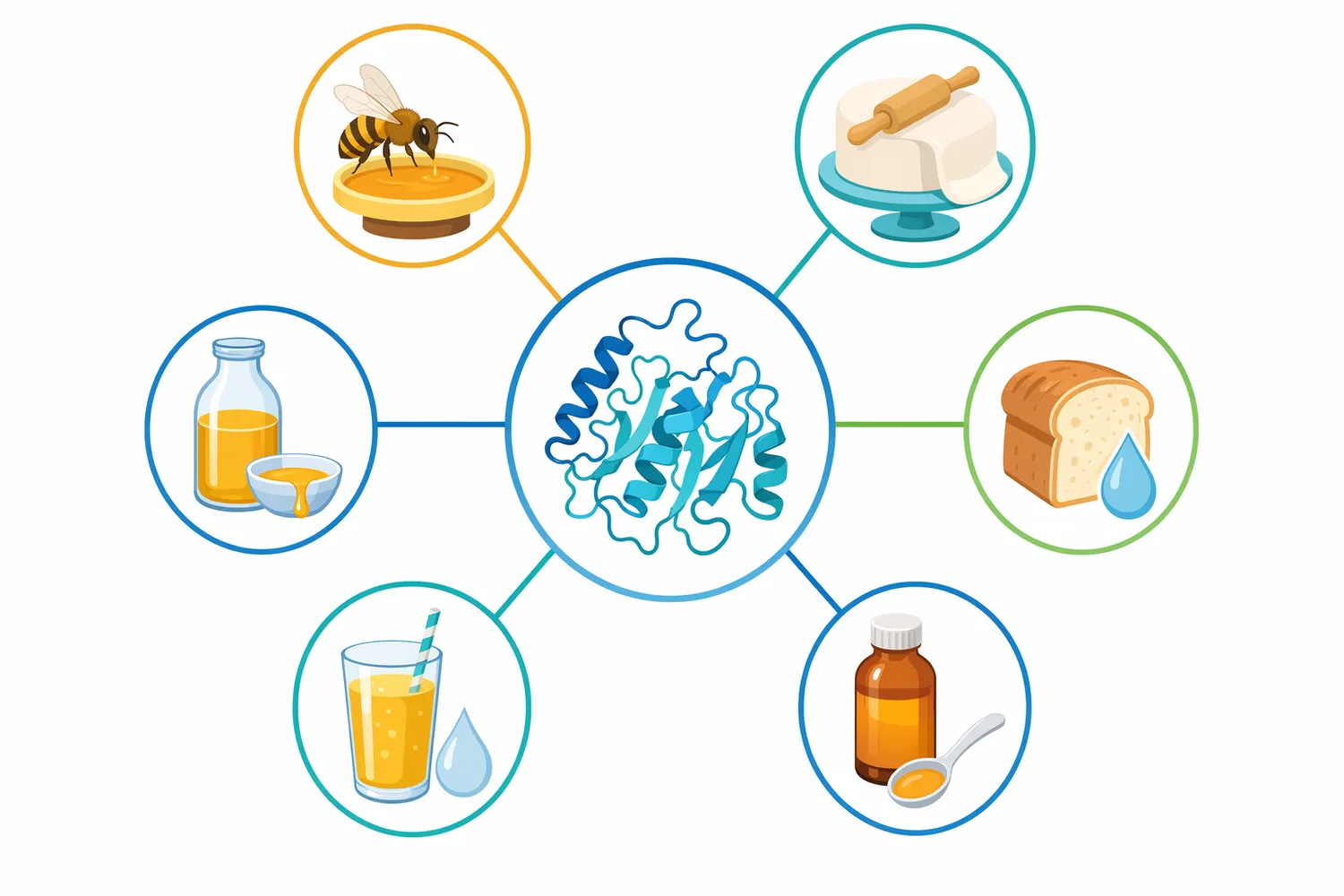 Invertase is used across sucrose-based applications including invert sugar syrup, confectionery fillings, bakery and beverage systems, and bee-feeding syrup preparation.