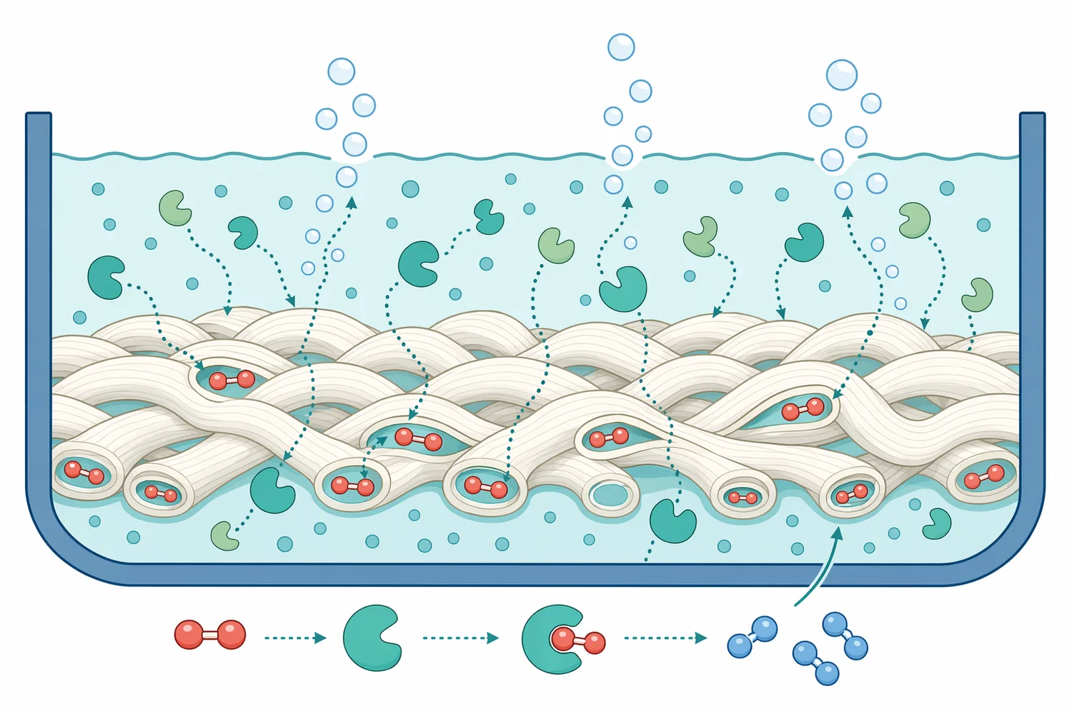 Effective catalase treatment depends on contact between the enzyme and peroxide in both the bulk liquor and retained moisture inside the textile structure.