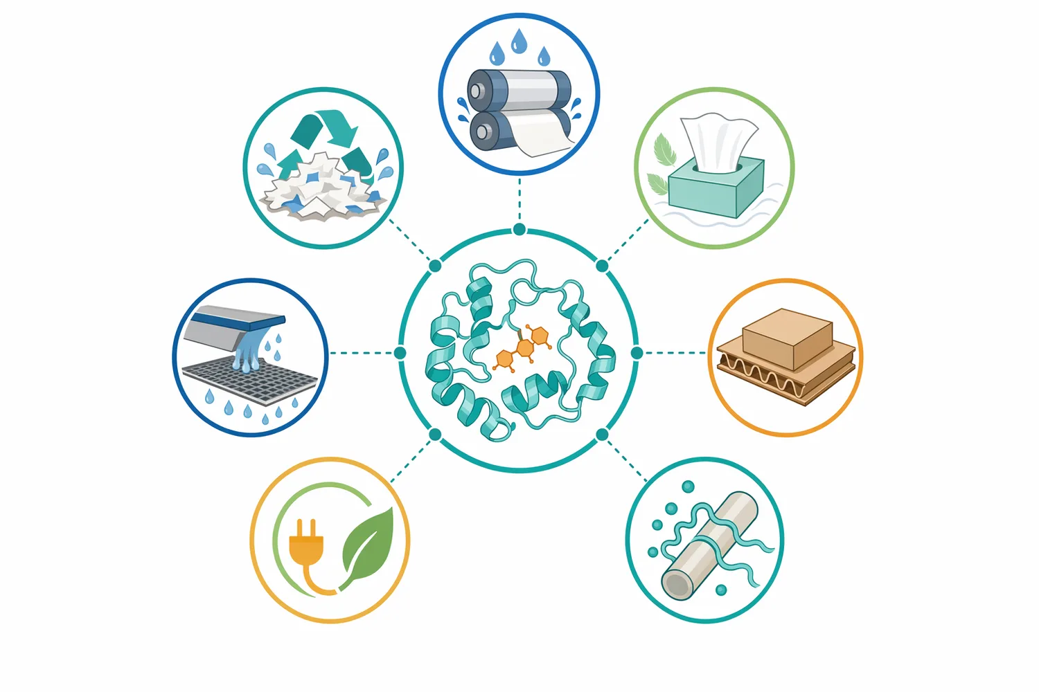 Cellulase applications in paper and pulp include deinking, white-water fines control, drainage support, refining aid use, biobleaching support, nanocellulose production, and sludge valorisation.