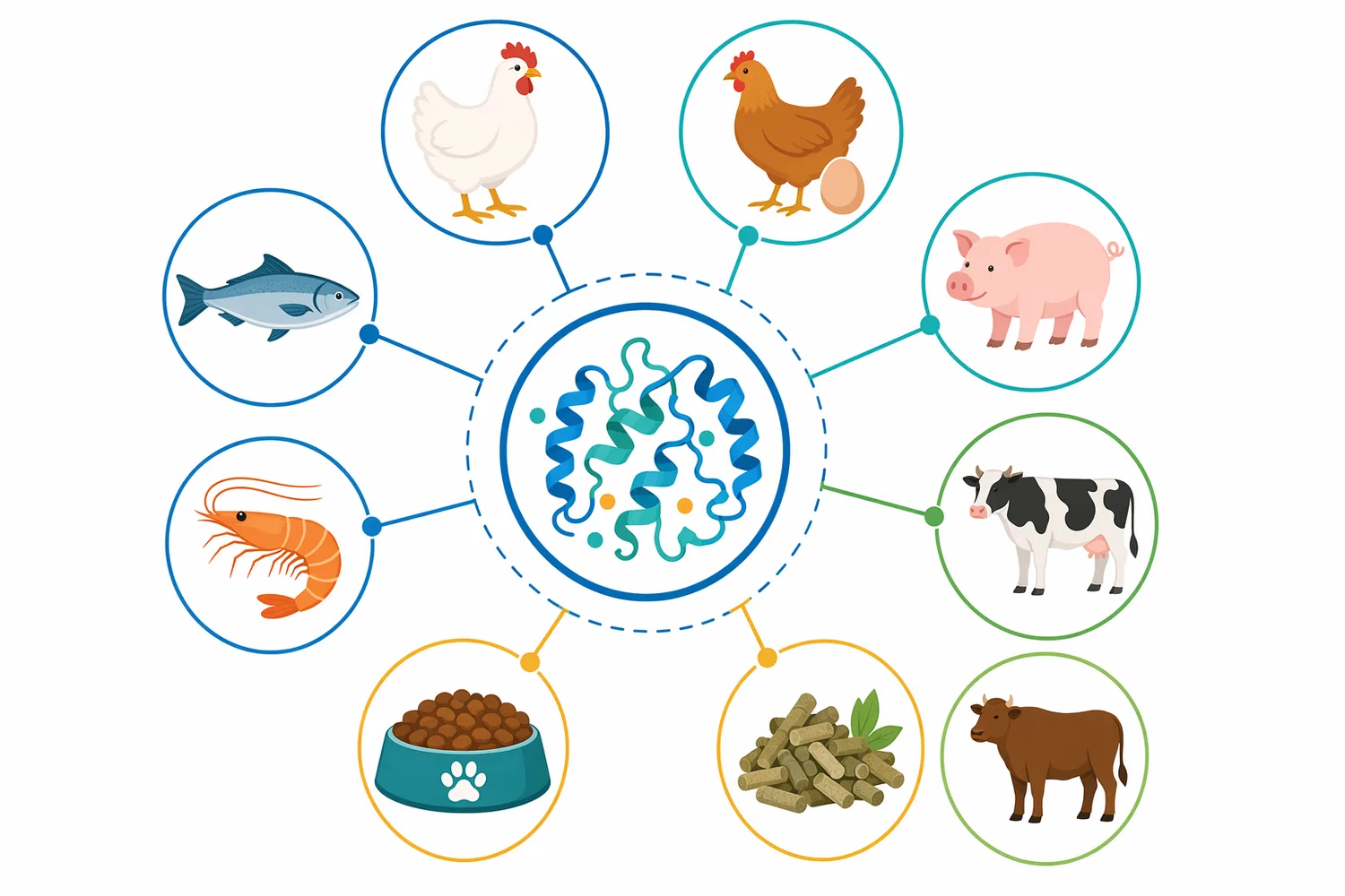 Cellulase is most relevant in swine diets when cereal co-products, brans, hulls, or distillers grains contribute cell-wall fiber that can restrict nutrient access.