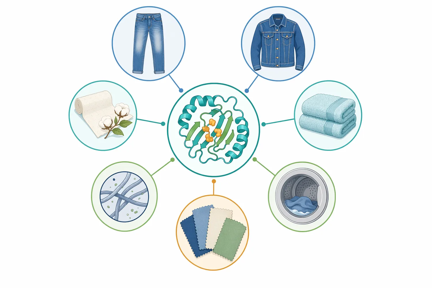 Cellulase enzyme powder fits enzyme stone washing, reduced-stone finishing, cotton biopolishing, and broader denim finishing sequences.