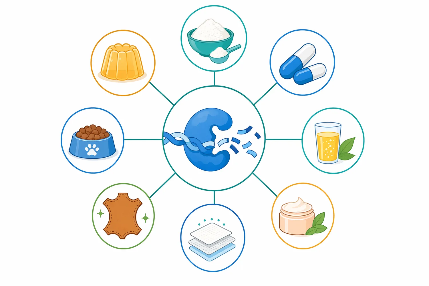 Collagen protease hydrolysates can support ingredient development for food, cosmetics, feed, biomaterials, and leather-related by-product valorization.