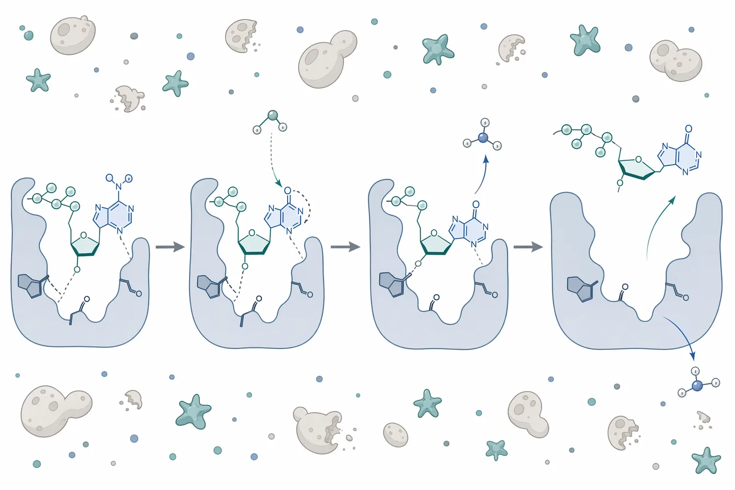 Food-grade deaminase converts adenylate nucleotides in yeast extract into inosinate compounds that intensify savory umami flavor.