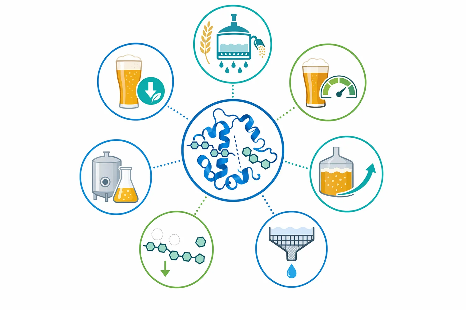 Debranching enzyme is relevant to high-gravity brewing, adjunct conversion, gluten-free brewing, and dry or high-attenuation beverage profiles where branched dextrins can limit fermentability.