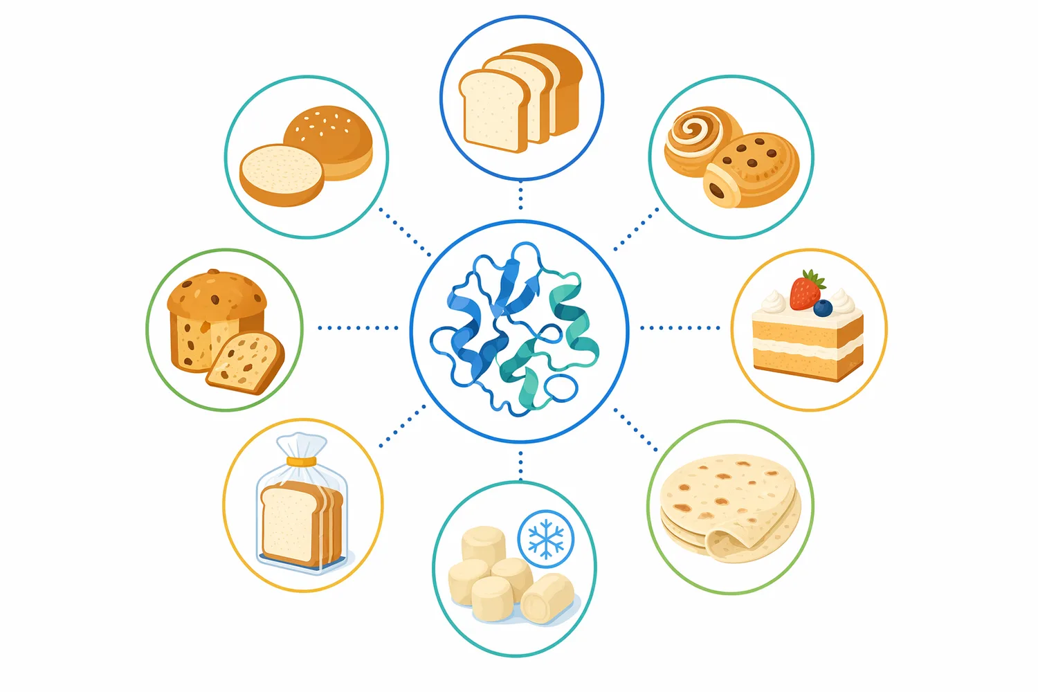Maltogenic amylase is especially relevant in baked goods where softness, resilience, slice feel, or foldability must be retained after storage.