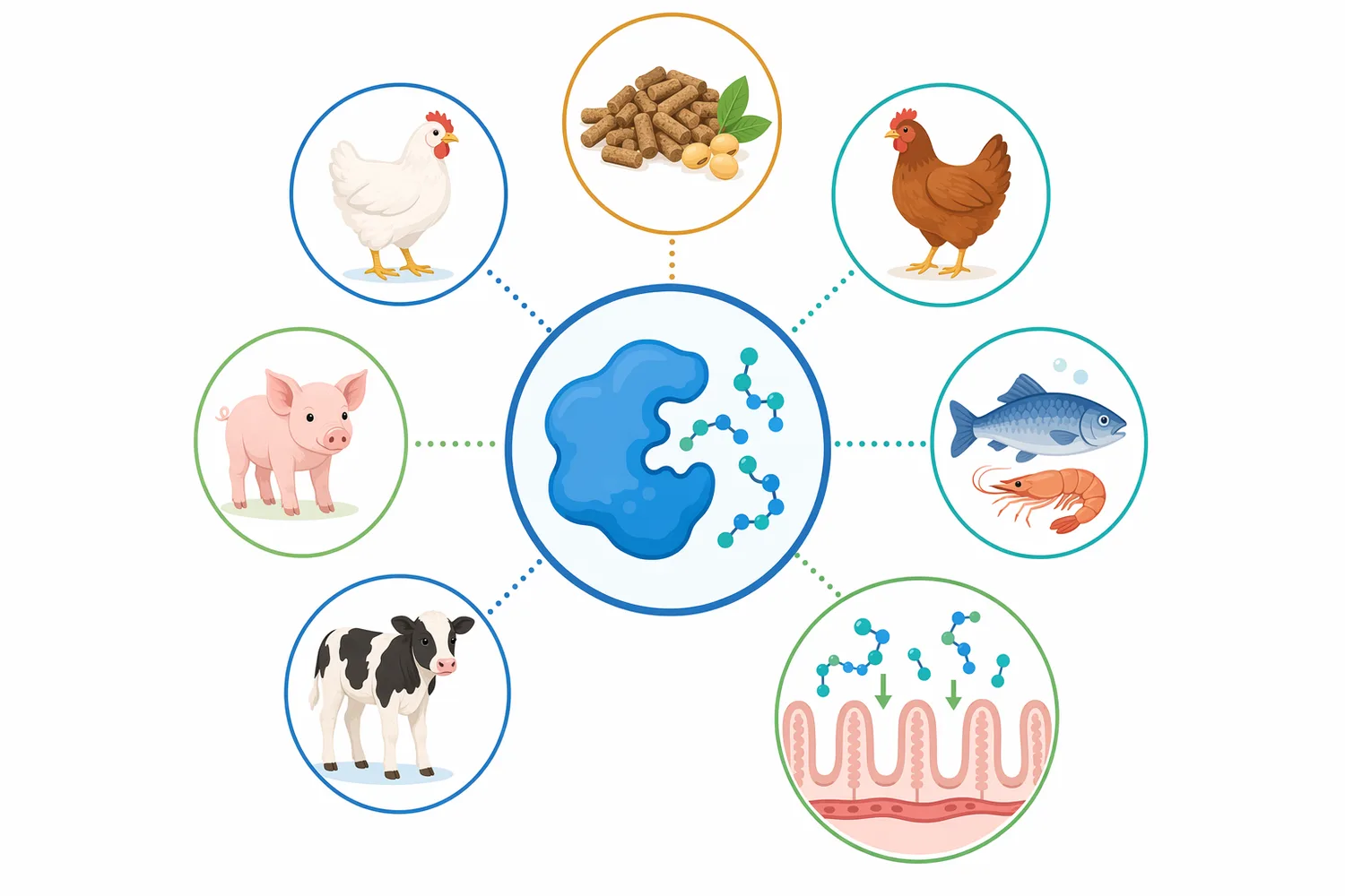 Fermented soybean meal supported by protease treatment is relevant to feed segments that value digestible plant protein and reduced intact antigenic proteins.