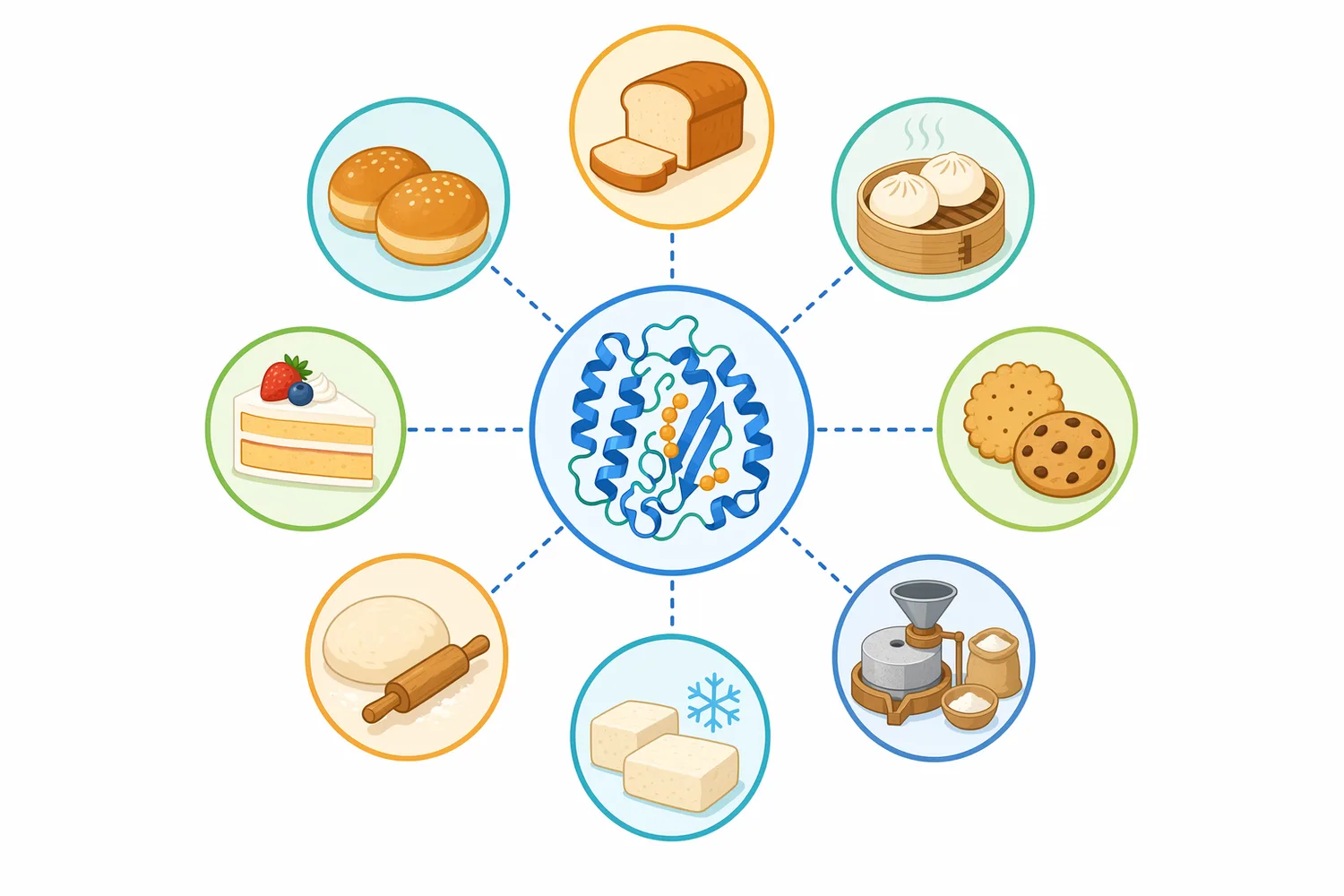 The same alpha-amylase chemistry is applied across bread, other baked goods, pasta, brewing, and starch conversion, but each application targets different functional outcomes.