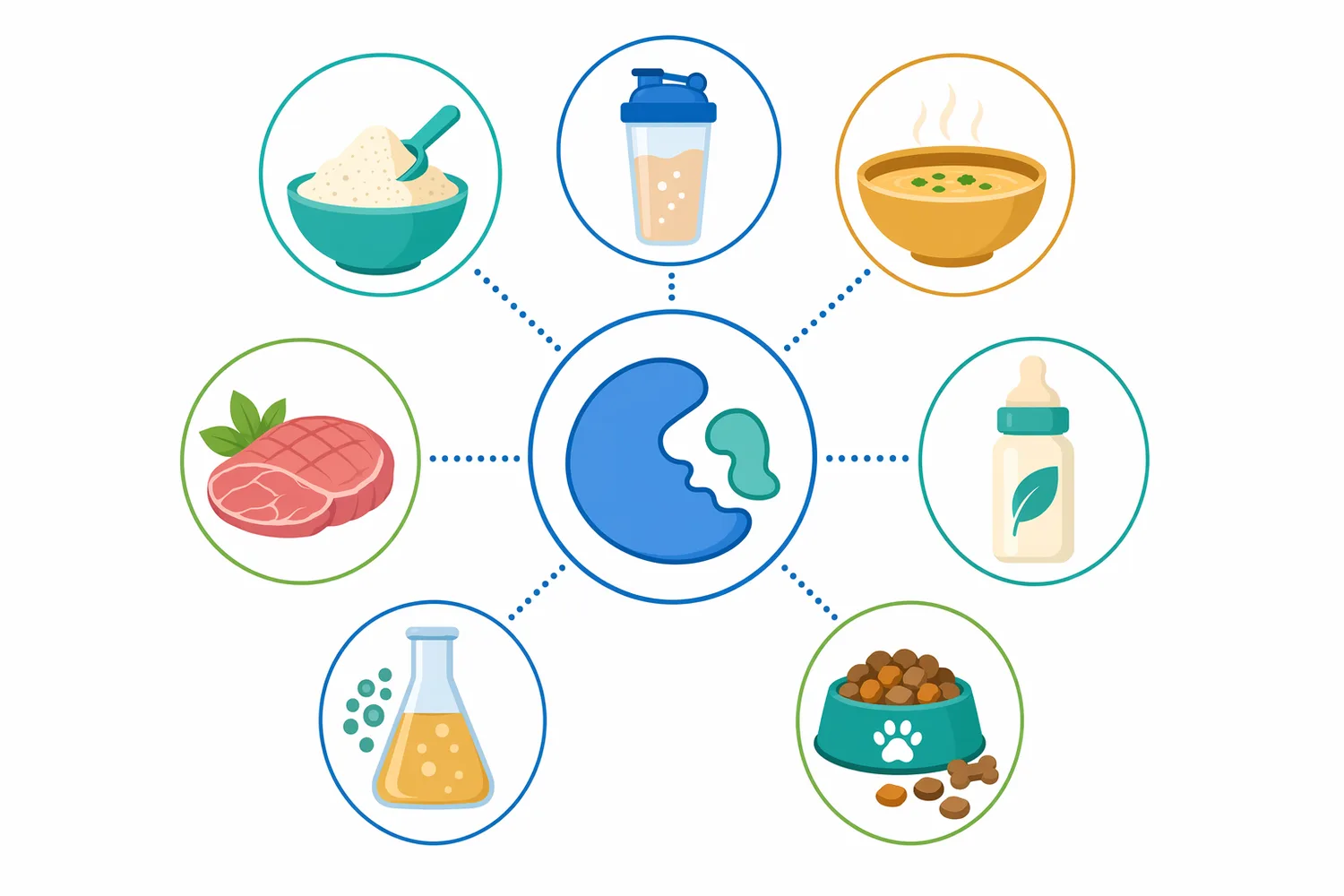 Plant, dairy, fish, meat, collagen, seed, and mushroom substrates can all be converted into hydrolysates with application-specific peptide profiles.
