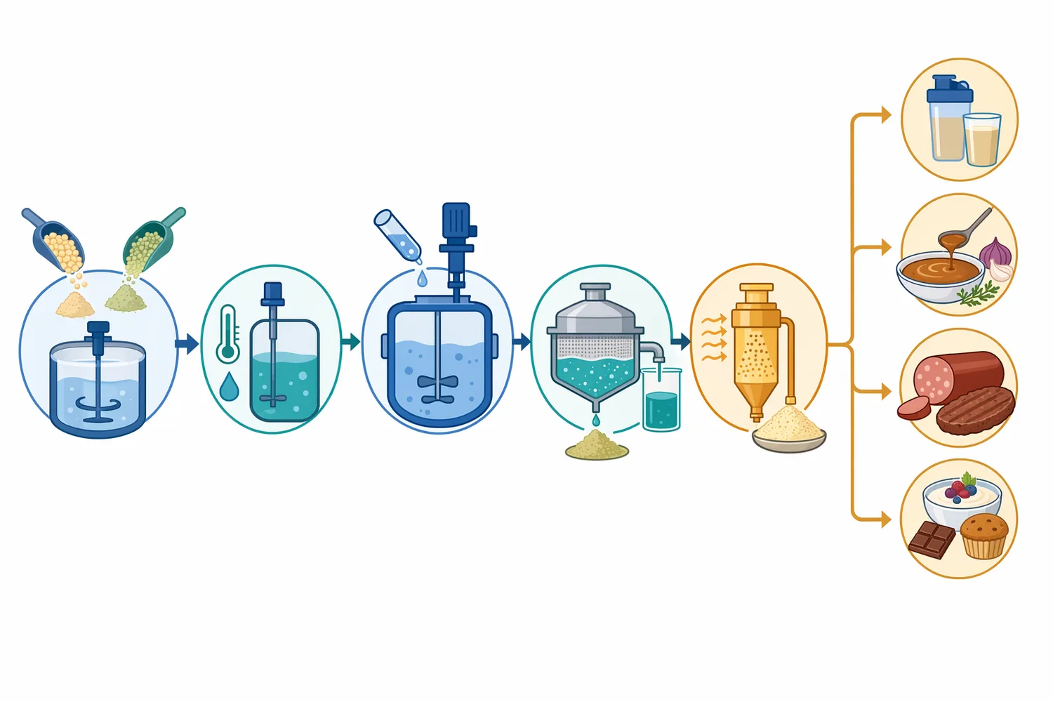 A typical alkaline protein hydrolysis process includes substrate hydration, pH adjustment, enzyme addition, time-temperature control, endpoint selection, enzyme inactivation, and downstream handling.