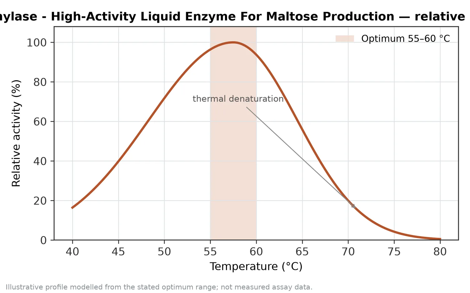 Relative activity of Food-Grade Β-Amylase - High-Activity Liquid Enzyme For Maltose Production as a function of temperature, with the optimum at 55–60 °C and a characteristic thermal-denaturation fall-off above the optimum.