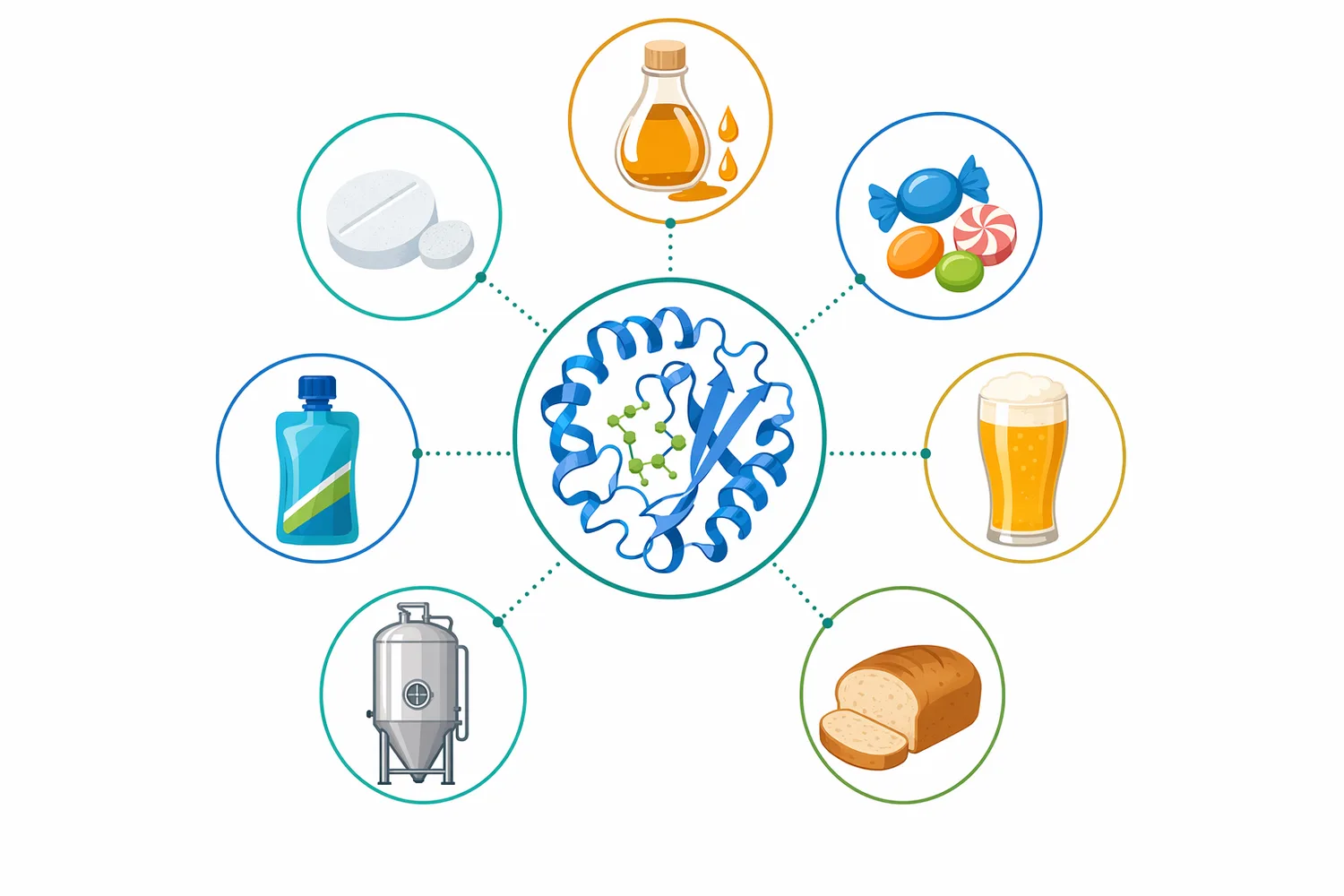 High-maltose syrups made with β-amylase support confectionery, brewing, baking, fermentation, nutrition, and excipient applications.