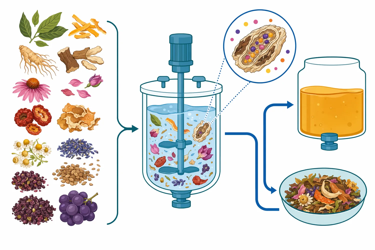 Cellulase is used when fibrous botanical structure limits liquid penetration, compound release, and downstream separation.