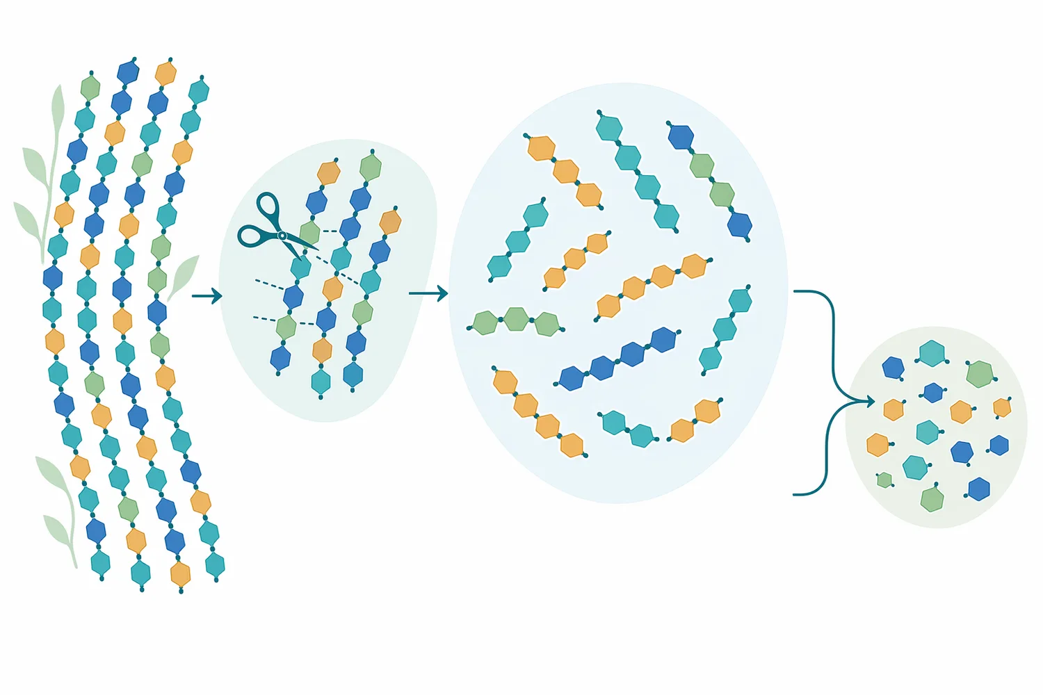 Partial cellulase hydrolysis can generate soluble cello-oligosaccharide-rich fractions before extensive conversion to glucose.