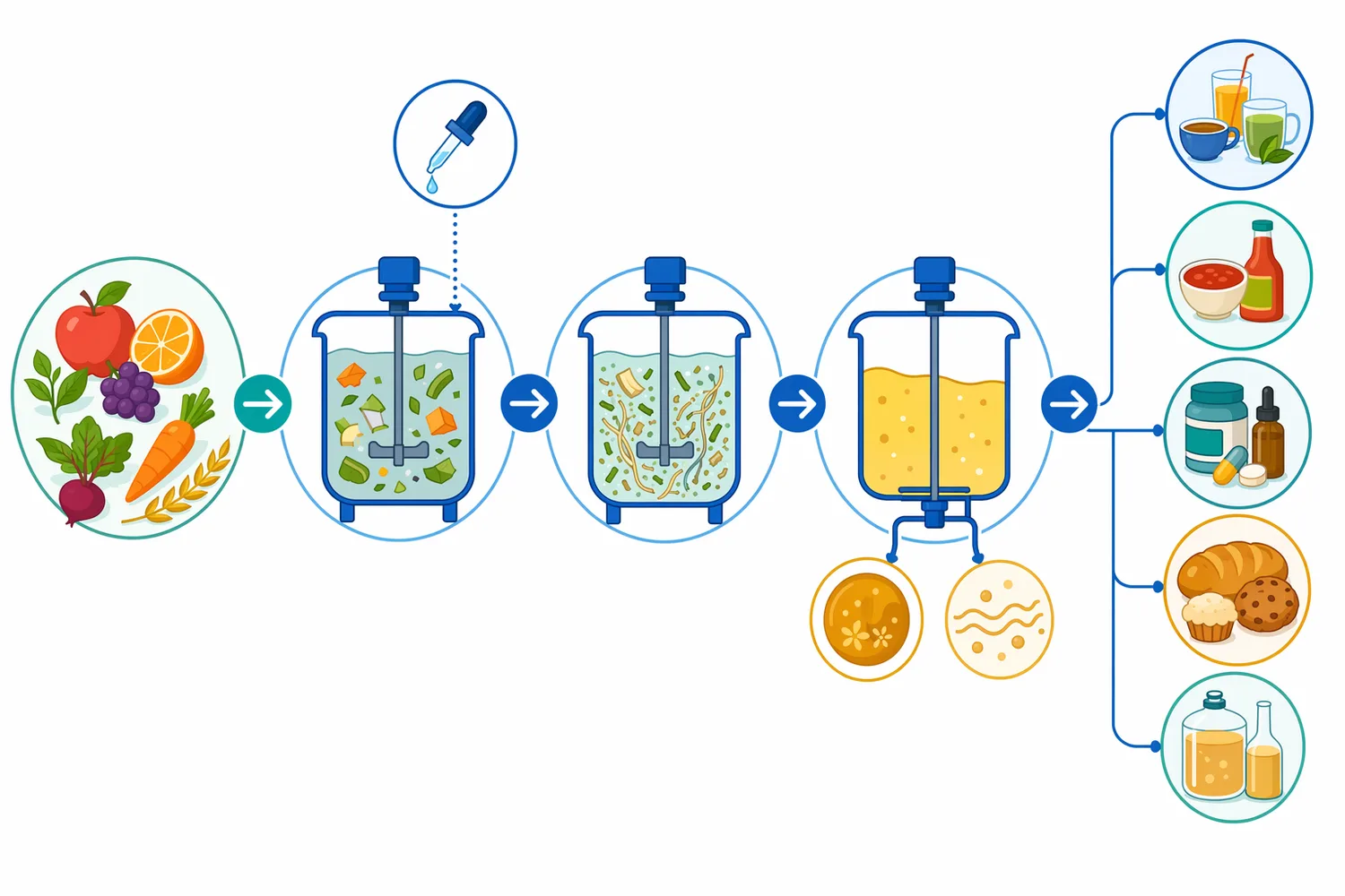 Liquid cellulase disperses through hydrated plant streams so enzyme contact, mixing, particle size and downstream stopping steps determine the processing outcome.