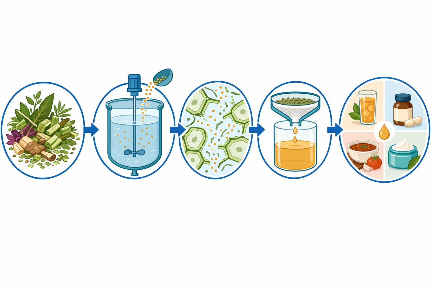 A typical enzyme-assisted extraction sequence adds β-glucanase during an aqueous maceration, steeping, slurry-holding, or extraction step before clarification and downstream finishing.