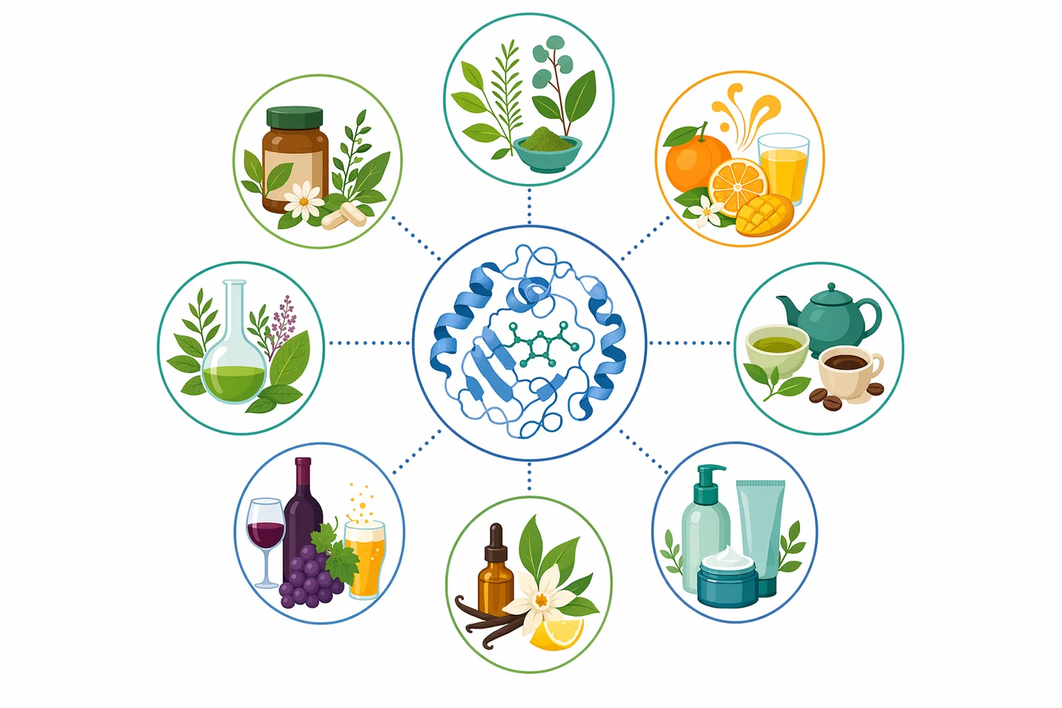 Food-grade β-glucosidase is most relevant to botanical extracts, flavor systems, fermented plant bases, phenolic-rich residues, fruit byproducts, and cellulose-fragment finishing where β-glucosidic substrates are accessible.