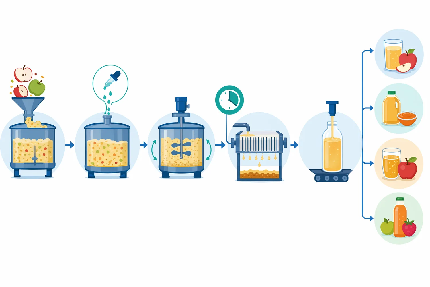 In apple processing, pectinase is added after crushing to reduce viscosity, improve juice release, and accelerate filtration.