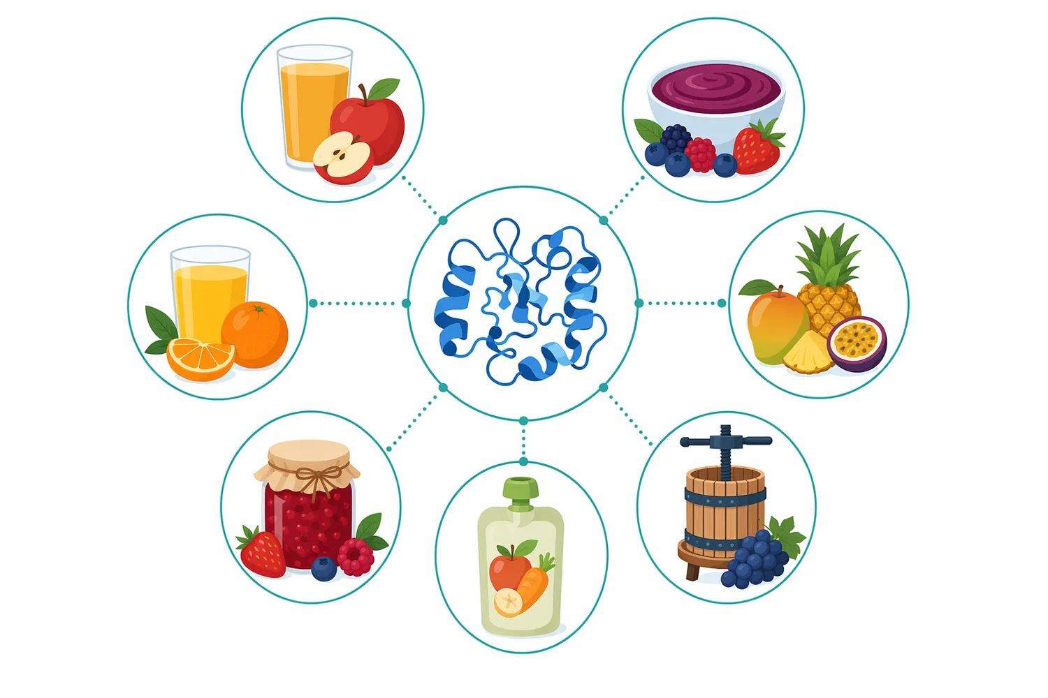 Fruit juice, apple and pear mash, berry and grape must, citrus or tropical pulps, and fruit preparations use pectinase for different combinations of viscosity control, juice release, clarification and extraction.