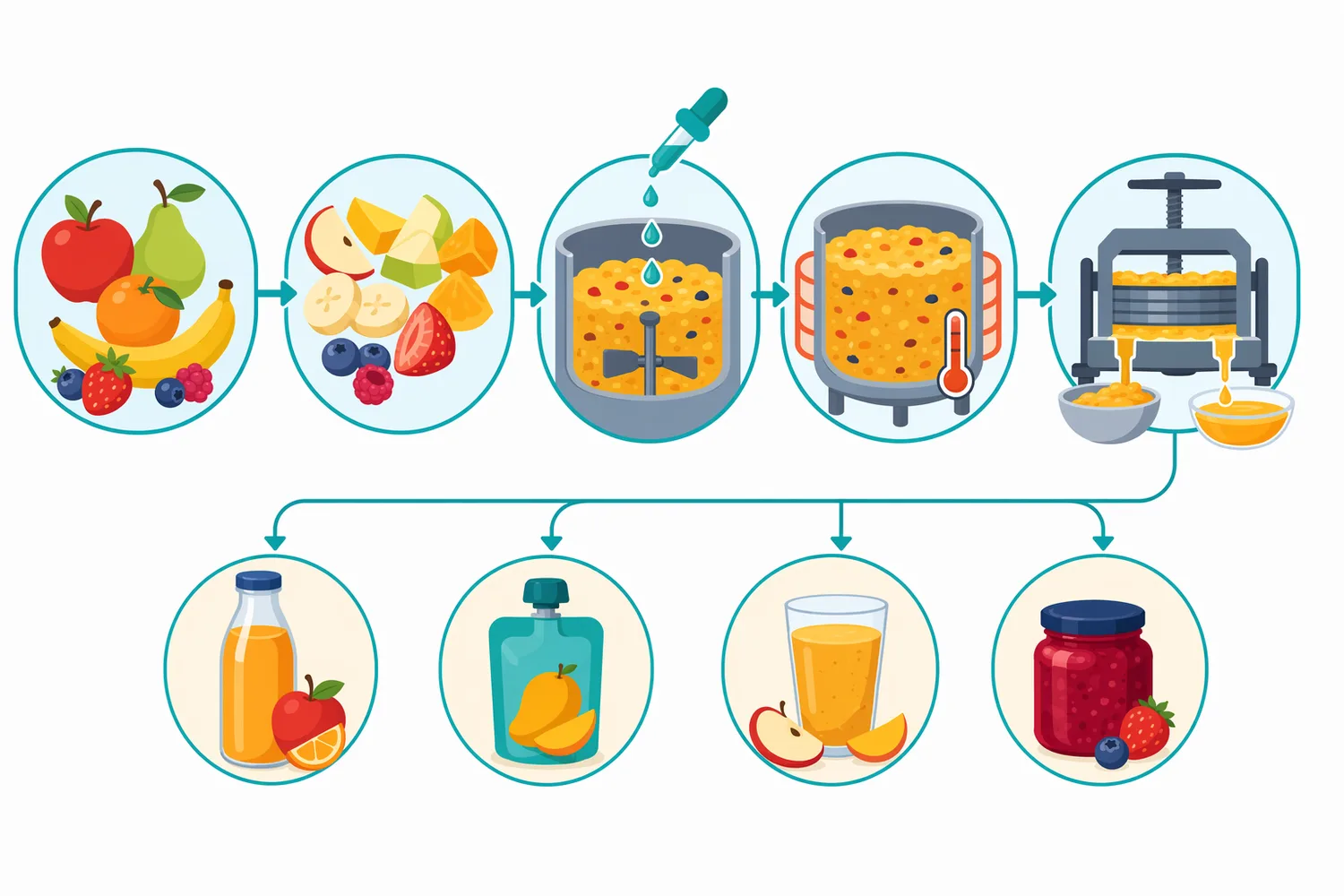 Pectinase is typically applied to crushed fruit before separation steps so the pectin-rich matrix is weakened before pressing, draining or filtration.