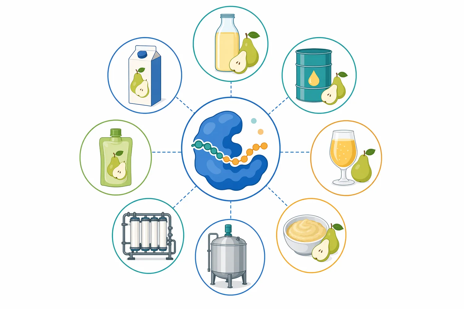 Food grade pectinase supports pear juice clarification, yield improvement, concentrate production, nectars, purees, and related fruit beverages.