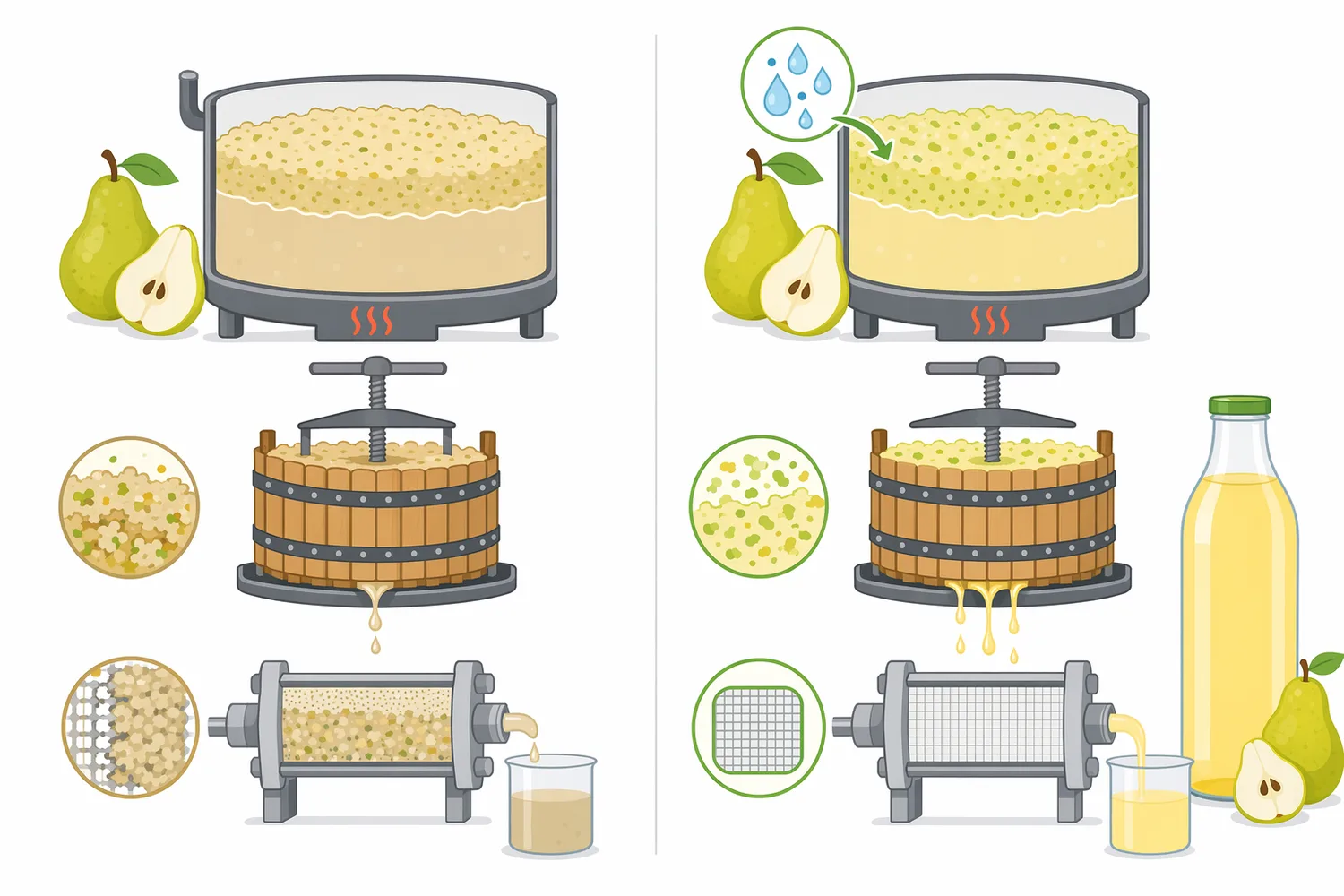 Compared with heat and prolonged settling alone, pectinase treatment reduces pear mash viscosity and improves clarification and filtration efficiency.